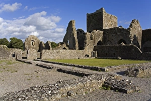 Images Dated 10th August 2006: Hore Abbey, Cashel Town, County Tipperary, Munster, Republic of Ireland, Europe