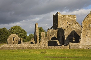 Images Dated 10th August 2006: Hore Abbey, Cashel Town, County Tipperary, Munster, Republic of Ireland, Europe