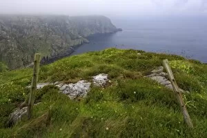 Foggy Gallery: Horn Head, County Donegal, Ulster, Republic of Ireland, Europe