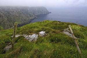 Foggy Gallery: Horn Head, County Donegal, Ulster, Republic of Ireland, Europe
