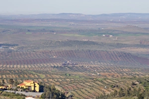 Extremadura Prints: Hornachos, Badajoz, Extremadura, Spain, Europe