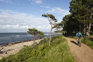 Cyclist Prints: Hornbaek beach, Hornbaek, Zealand, Denmark, Europe