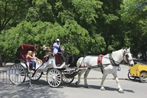 Horse and buggy, Central Park, Manhattan, New York City, New York, United States of America