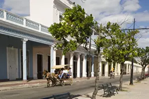 Paseo Del Prado Prints: A horse and carriage going past row of columns in the Paseo del Prado, the main avenue