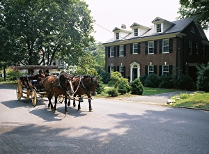 Carriages Prints: Horse and carriage in Lee Avenue