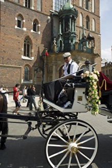 Motoring Prints: Horse and carriage in Main Market Square (Rynek Glowny)