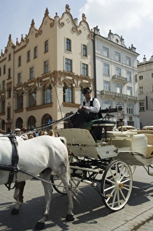 Horse and carriage in Main Market Square (Rynek Glowny)