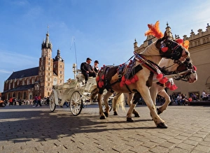 Carriage Prints: Horse Carriage with St. Mary Basilica in the background, Main Market Square, Cracow
