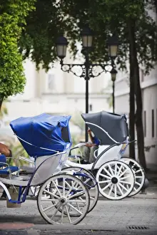 Carriage Prints: Horse carriage for tourists, Zona Colonial (Colonial District), UNESCO World Heritage Site