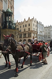 Cracow Prints: Horse and carriages in Main Market Square (Rynek Glowny)