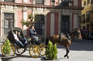 Horse and carriages in Santa Cruz district