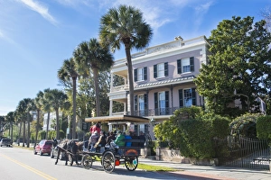 Cart Prints: Horse cart before a colonial house, Charleston, South Carolina, United States of America