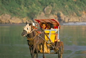 Horse and cart at the sanctuary of Ratu Kidul