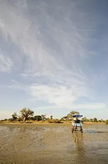 Horse and cart, Sine Saloum Delta, Senegal, West Africa, Africa