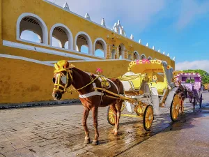 Pastoral Prints: Horse-drawn carriages in front of the Convent of San Antonio de Padua
