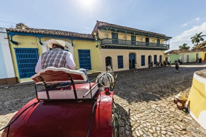 Working Animals Prints: A horse-drawn cart known locally as a coche in Plaza Mayor