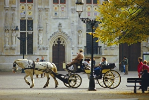 Pulling Prints: Horse-drawn Trap, Bruges, Belgium