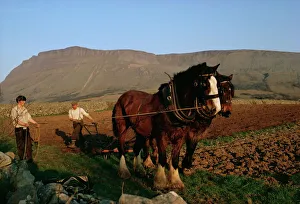 Horse Prints: Horse and plough