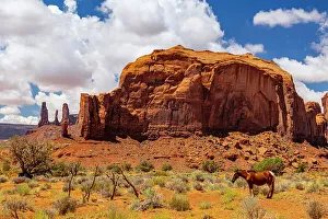 Summery Prints: A horse rests in the beautiful Monument Valley on a summer day