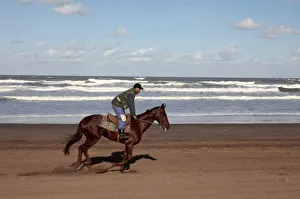 Horses Prints: Horse rider on a beach near Azemmour, Morocco, North Africa, Africa