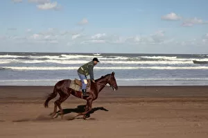 Images Dated 19th December 2011: Horse rider on a beach near Azemmour, Morocco, North Africa, Africa