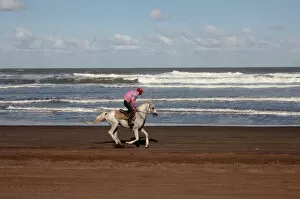 Images Dated 19th December 2011: Horse rider on a beach near Azemmour, Morocco, North Africa, Africa