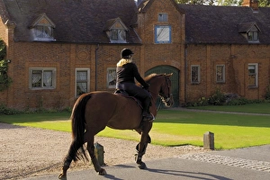 Horse Riding Prints: Horse rider, The Packwood House estate, Warwickshire, England, United Kingdom, Europe