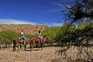 Images Dated 8th November 2010: Horse riding, Canon Del Inca, Tupiza Chichas Range, Bolivia, South America