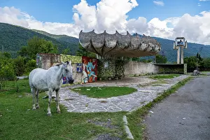Graffiti Prints: Horse stands by old bus stop with mosaics in Gagra