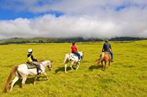 Images Dated 22nd March 2008: Horseback riding at Parker Ranch, The Big Island, Hawaii, United States of America