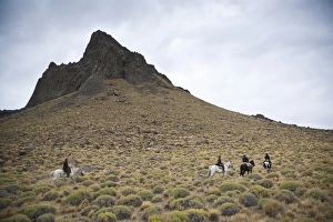Working Animals Prints: Horseback riding, Patagonia, Argentina, South America