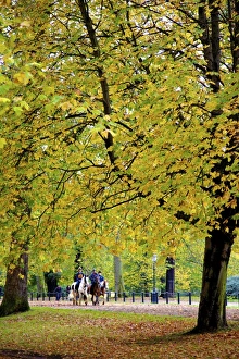 Hyde Park Prints: Horses in an autumnal Hyde Park, London, England, United Kingdom, Europe