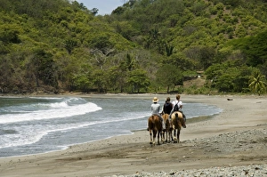 Punta Islita Prints: Horses on beach at Punta Islita, Nicoya Pennisula, Pacific Coast, Costa Rica