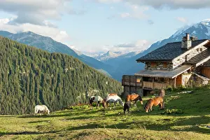 Sustainable Prints: Horses in the meadow, La Rosiere