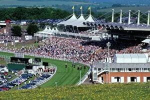 West Sussex Collection: Horses racing and crowds, Goodwood Racecourse, West Sussex, England, United Kingdom