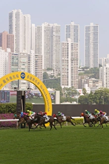 Competing Prints: Horses racing at Happy Valley racecourse, Hong Kong, China, Asia