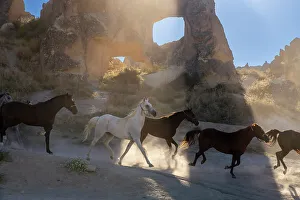 Nature Lovers Prints: Horses running with rock formations in background