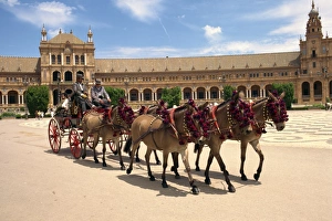 Working Animal Prints: Horses and trap in the Plaza de Espana