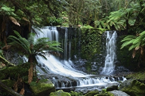 Horseshoe Falls, Mount Field National Park, UNESCO World Heritage Site