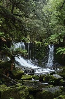 Images Dated 24th April 2011: Horseshoe Falls, Mount Field National Park, UNESCO World Heritage Site