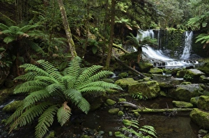 Horseshoe Falls, Mount Field National Park, UNESCO World Heritage Site