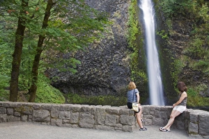 Images Dated 26th August 2009: Horsetail Falls in the Columbia River Gorge, Greater Portland Region, Oregon