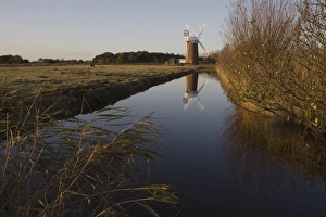 Images Dated 7th November 2009: Horsey Mill, Norfolk, England, United Kingdom, Europe