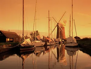 Norfolk Prints: Horsey windmill, Norfolk, England, United Kingdom, Europe