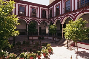 Patio Prints: Hospital de los Venerables