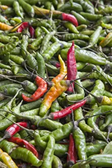 Chili Pepper Prints: Hot peppers of various color used as food in Indian cuisine considered one of