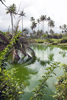 Images Dated 3rd June 2008: Hot spring pool, Sulawesi, Indonesia, Southeast Asia, Asia