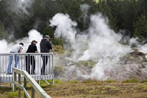 Hot steam, Craters of the Moon Thermal Area, Taupo, North Island, New Zealand, Pacific