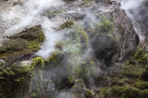 Taupo Prints: Hot steam, Craters of the Moon Thermal Area, Taupo, North Island, New Zealand, Pacific