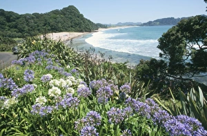 Hot Water Beach